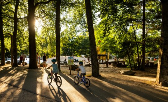 RCN het Grote Bos - Kids-Camping