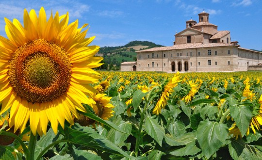 Drie leuke uitjes voor kinderen in Italië