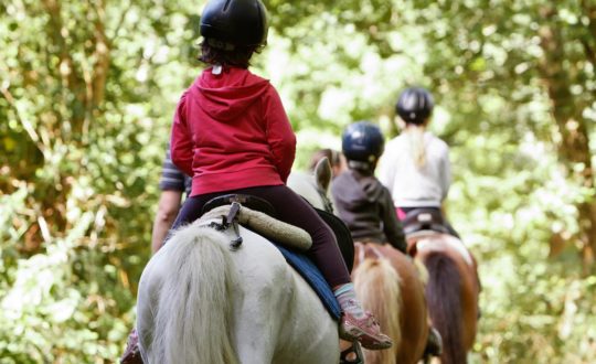 Met een manege