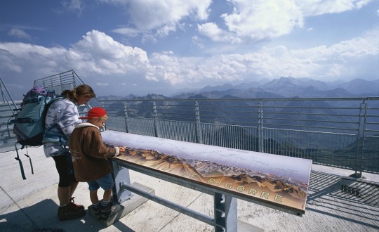 Waanzinnige dieren in de Pyreneeën