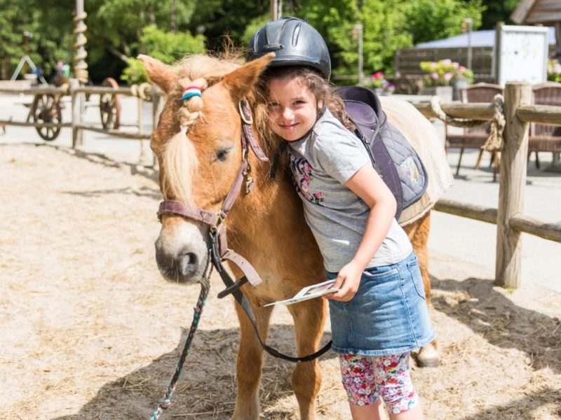 Dieren knuffelen met Pinksteren 