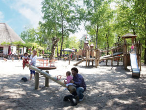Landal - Twenhaarsveld - Speeltuin