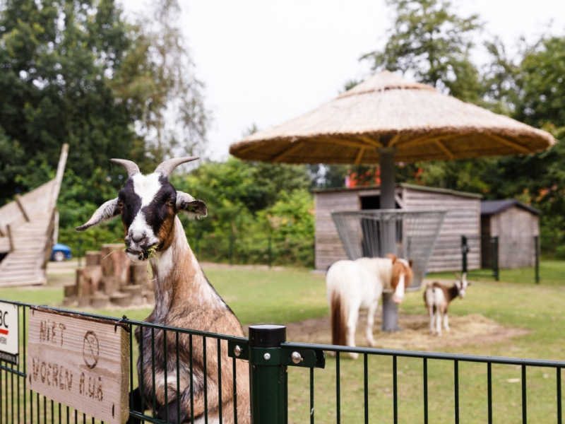 RCN Vakantiepark Zeewolde