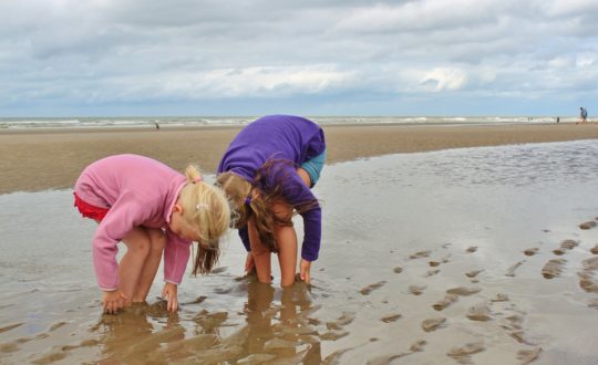 Impactrip: combineer bewustzijn van de natuur met een gezinsvakantie