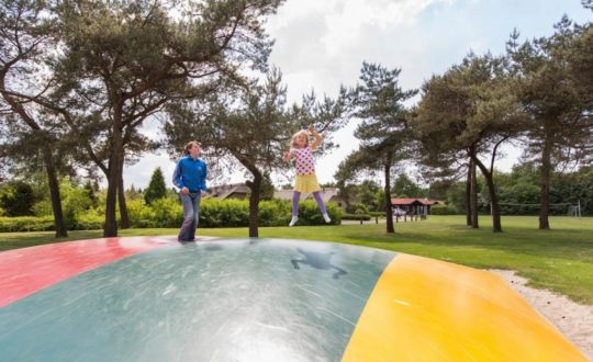 De Veluwse Hoevegaerde - Kids-Campings.com