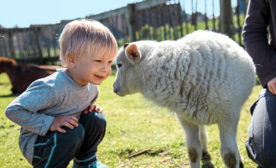 Park Zandvoort - Kids-Campings.com