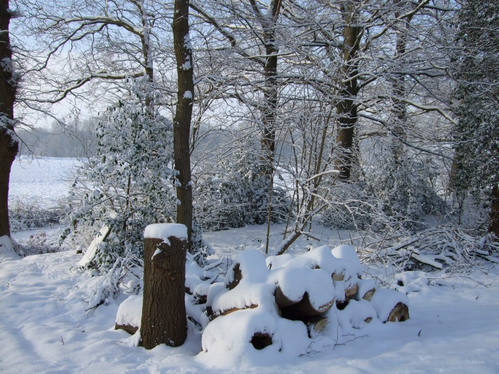 natuur Besthmenerberg