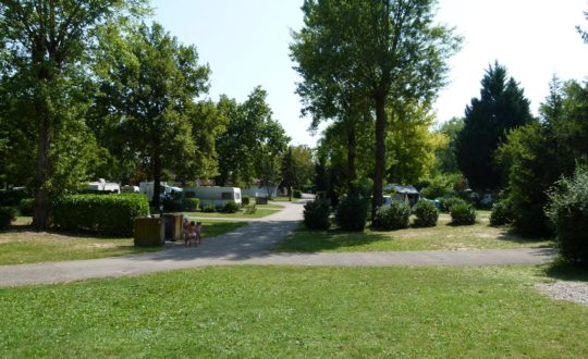 Camping L’Ile du Rhin - Kids-Campings.com