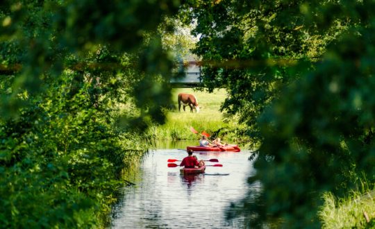 Mölke - Kids-Campings.com