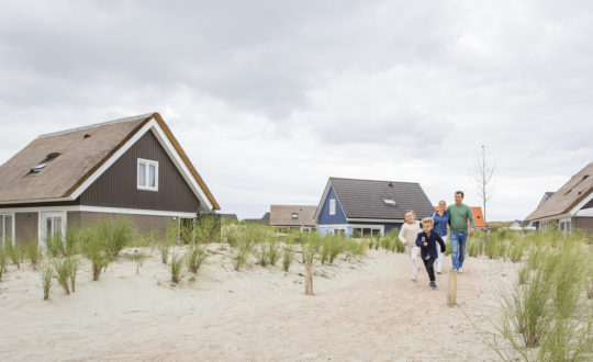 3x Hondvriendelijke strandvakanties in Nederland