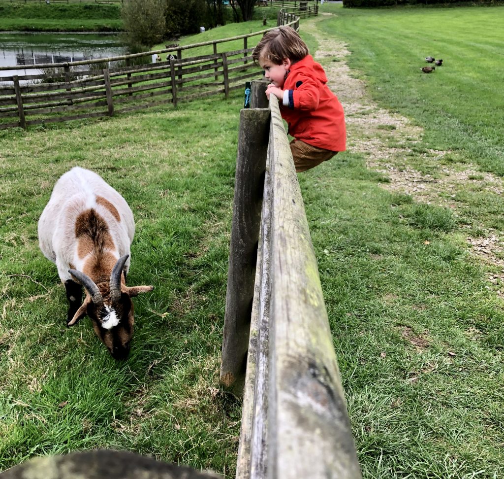 Litteau kinderboerderij