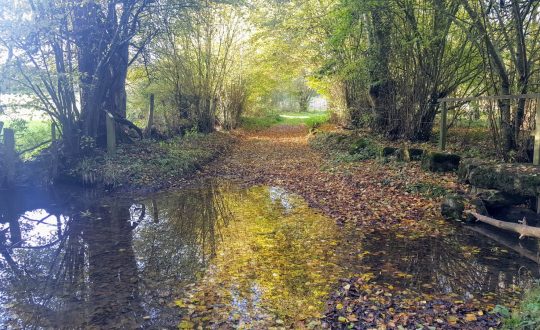 In de herfst naar Siblu Domaine de Litteau in Normandië