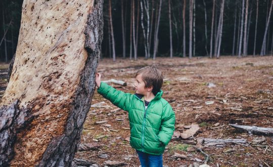 Duurzame camping activiteiten met de kinderen