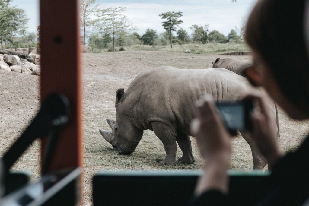 Foto van Wildlands Zoo in Emmen via Danny Wage 