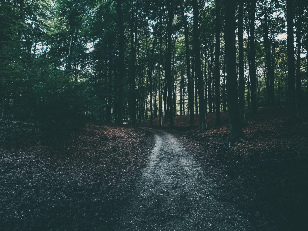 Wandelen met pasen in de mooie natuur, de Veluwe 