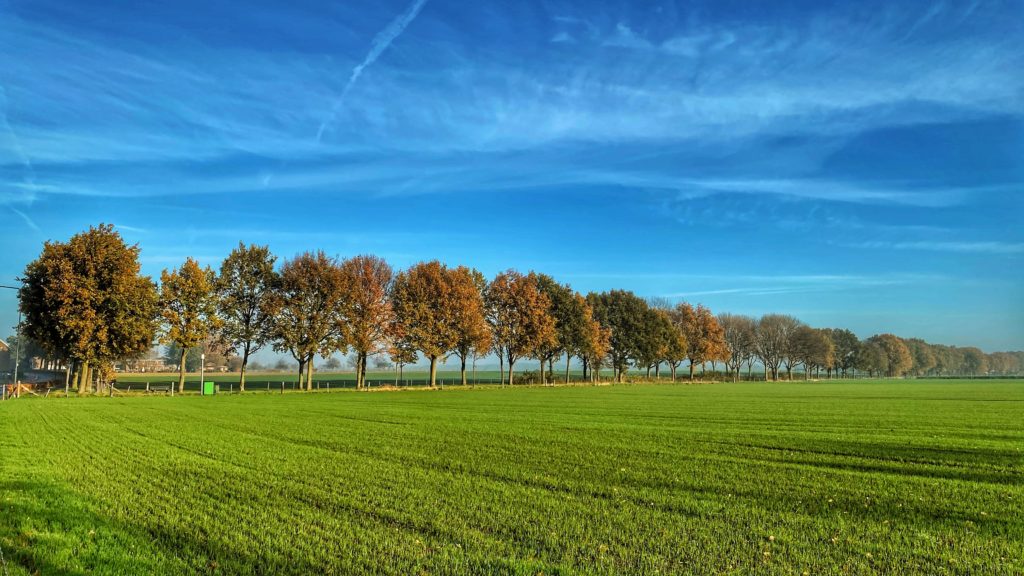 Hemelvaart in Limburg