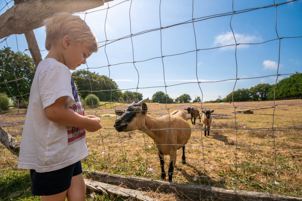 Miniboerderij op Les Brillas 