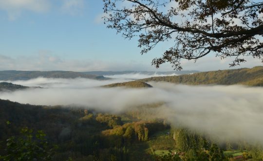 Onze 5 favoriete hotspots van de Ardennen