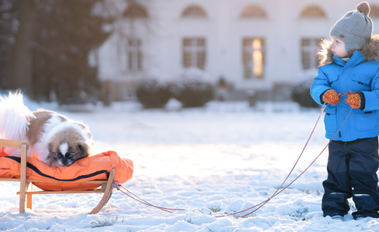 Activiteiten voor in de winter met kinderen