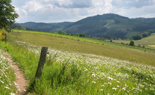 Verblijf op UplandParcs Sauerland